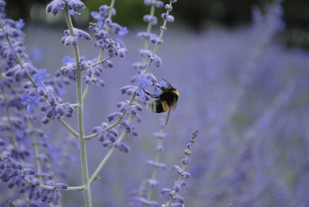 Ausdrucksstarkes Privat Shooting Bonn – Emotionale Momente im Freien