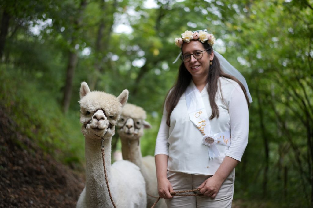 Individuelle Konzeptfotografie Bonn – Braut mit Alpakas für unvergessliche Hochzeitsmomente