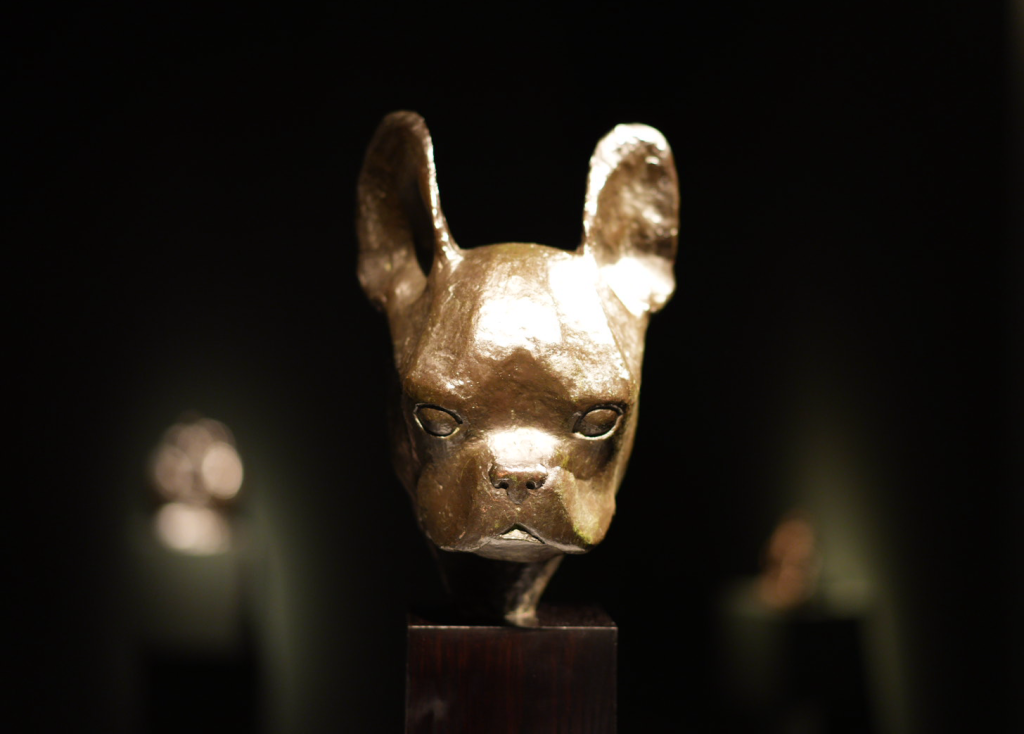 Detailreiche Stillleben Produktfotografie Bonn – Werbebilder für Marken