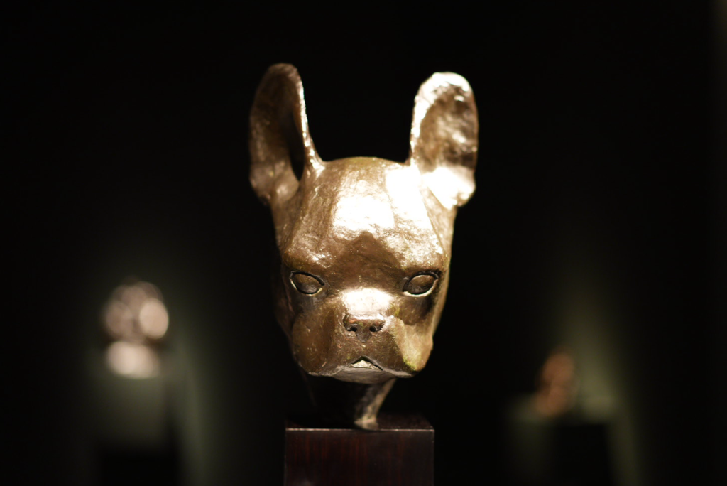 Bronze Hundeskulptur Französische Bulldogge Kopf Kunst Reportagefotografie Malin Kalwa Bonn